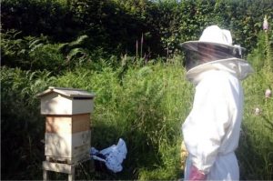 bee keeping